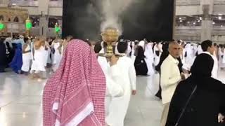 Bakar Dupa Gaharu wangi di Kabah [upl. by Samella]