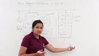 Block Diagram amp Architecture Of 8085 Microprocessor [upl. by Bran]