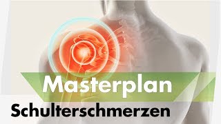 Schulterschmerzen amp  Impingement Syndrom Masterplan  Symptome amp Ursachen beseitigen [upl. by Aisekal536]