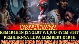 KISAH NYATA  K3M4R4H4N J3NGLOT SAAT AKAN DI MUSNAHKAN [upl. by Takken39]