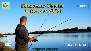 W końcu ryby z jesiennej Wisły Klasyczny feeder nad dużą rzeką [upl. by Aniuqahs]