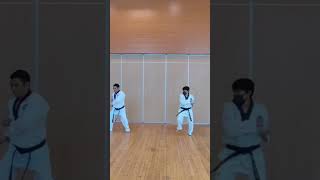 Keumgang Poomsae highlights tutorial [upl. by Finella]