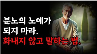 분노의 노예가 되지마라 화내지 않고 말하는 법 감정을 다스리는 첫걸음오디오북철학과지혜노자공자옛성인들의지혜반복인생후반의 철학과 지혜 [upl. by Etnoled5]