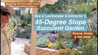 See a Landscape Contractors 45Degree Slope Succulent Garden [upl. by Rehpinnej]