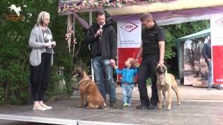 Tag des Hundes 2015 [upl. by Lantha163]