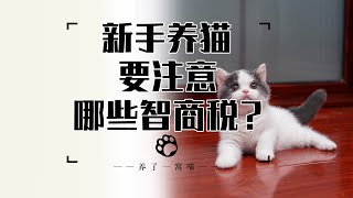 新手养猫注意这几样智商税，省下的费用能帮你还房贷 [upl. by Eidob414]