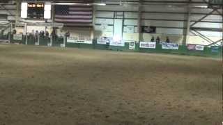 Team Roping Ranch Rodeo style [upl. by Abraham]