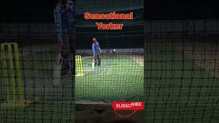 What a Sensational Yorker by Vettori ipl2024 rcb cricket cricketlover cricketshorts [upl. by Terrijo]