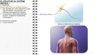 ANATOMIE FMPM GÉNÉRALITÉS [upl. by Ennoryt173]