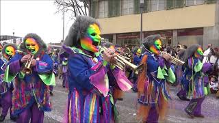 Solothurner Fasnacht 2019 Gugge [upl. by Libby]