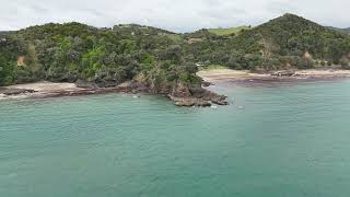 Whale Bay New Zealand from Above [upl. by Aisinoid]