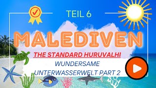 Die Malediven Teil 6 Wilde Blaue Ozeane [upl. by Myk260]