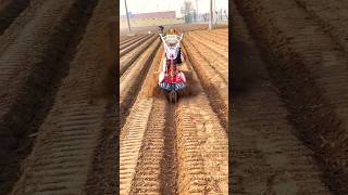 mini tiller machines 😱😱 shorts tiller agriculture [upl. by Sallie]