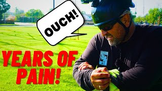 Arborists Advice On How To Not Get Injured Working In Trees [upl. by Shalna]