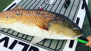 L2 FISH Paddle board vs Bull Redfish  Fishing Perdido Key Florida [upl. by Khudari111]