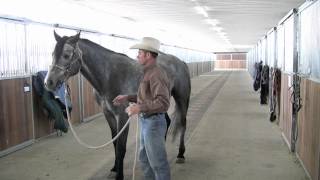 Teaching lateral flexion in the snaffle [upl. by Eenram]