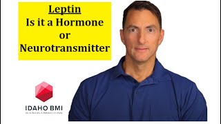 Leptin A Hormone or Neurotransmitter [upl. by Buzzell]