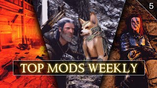 Top Mods Weekly NEW Armors Faction and Followers Skyrim XBOX Mods [upl. by Estele]