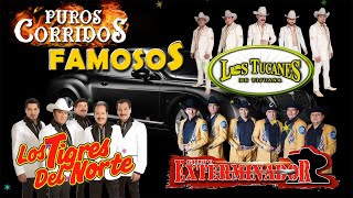 Puros Corridos Exitos Mix 2024  Los Tucanes De Tijuana Los Tigres Del Norte Grupo Exterminador [upl. by Odo]