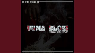 Vuma Dlozi Extended Version [upl. by Burkhart831]