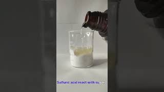 Sulfuric acid reacts with sugar h2so4 experiment chemical reaction goviral laboratory fyp [upl. by Nelly]