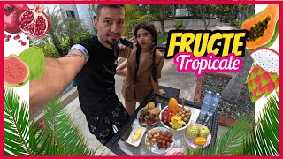 🥥🇹🇭Testam Fructe Tropicale La Piscina🇹🇭 [upl. by Kcirddot921]