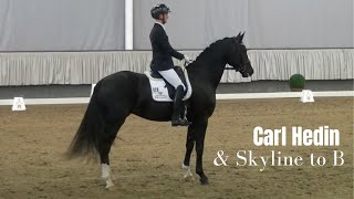 Carl Hedin und sein Skyline to B 😍 bei der Hengstleistungsprüfung 🐎 [upl. by Shelley]