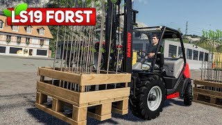 LS19 FORST 10 Das neue BaumpflanzProjekt  LANDWIRTSCHAFTS SIMULATOR 2019 [upl. by Nonie]