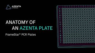 Anatomy of an Azenta PCR Microplate [upl. by Nevs752]