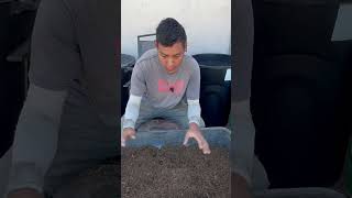 How to make a seedling mix [upl. by Aleusnoc]