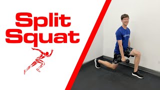 Split Squat [upl. by Seidel]