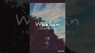 Waalian  Slowedamp Reverb  waalian lofi [upl. by Enoj]