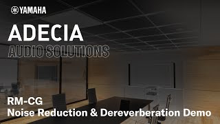 ADECIA AUDIO SOLUTIONS RMCG Noise Reduction amp Dereverberation Demo [upl. by Lovash496]