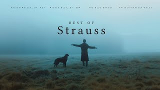 Best of Strauss  Classical Music Gems [upl. by Yale]