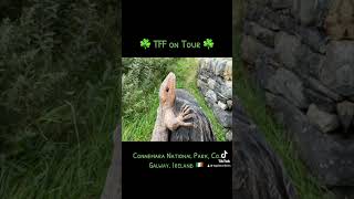 TFF on Tour connemara wildatlanticway ireland nationalpark hiking galwayireland nature fresh [upl. by Aekerly816]