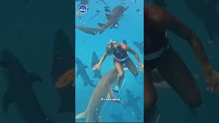 Free diver gets a sharks kiss 👀 [upl. by Crysta]