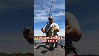 BIG bass KILLS the frog🔥 shorts bassfishing fishing [upl. by Llertrac]