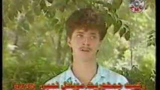 Afghani Song  Delam Dewana Bood [upl. by Morita]