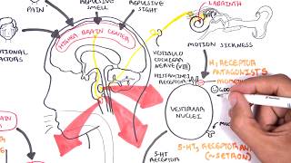 Pharmacology  Antiemetics [upl. by Aihselef]