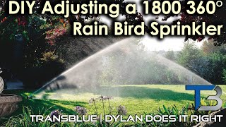 DIY Adjusting a Rain Bird 1800 360° Sprinkler Head  Transblue Does it Right [upl. by Slaughter]