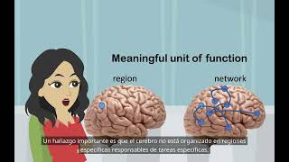 Investigación sobre el cerebro dividido Psicología básica localización de funciones en el cerebro [upl. by Assel]