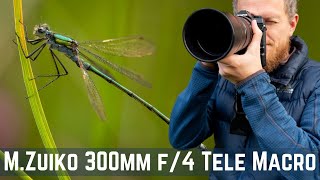 Olympus MZuiko 300mm f4  Telephoto Macro Invertebrates [upl. by Nowell]