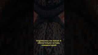 МАЙНКРАФТ НО Я ДЕЛАЮ АРТЫ СВОИМ ПОДПИСЧКАМ майнкрафт майнкрафтпостройки майн майнкрафтвидео [upl. by Inor]