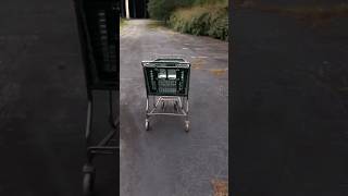 Shopping Cart vs Desk Chair [upl. by Maury]