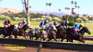 Alameda County Fair Horse Races 2024 [upl. by Lander]