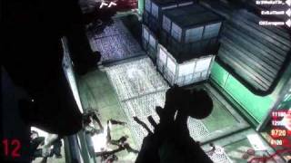 Black Ops Zombies Glitch on Five [upl. by Koressa]