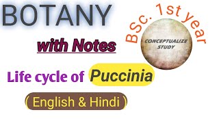 Life cycle of Puccinia graminis  BSc first year conceptualizestudy [upl. by Edda592]