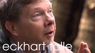 Being In Nature With Eckhart Tolle [upl. by Aciram30]