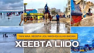 XeebtaLiido Waa Mid Xiiso Gooniya leh [upl. by Gathard]