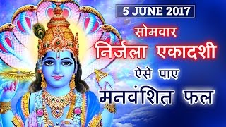 निर्जला एकादशी ऐसे पाए मनवंशित फल  Nirjala Ekadashi Special  Shukla Jyotish Kendra [upl. by Lucio]